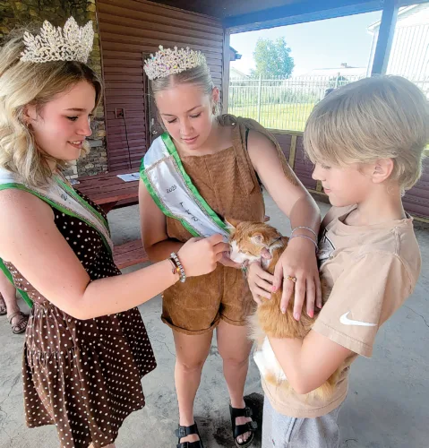 Beverly Fireman's Festival Pet Show